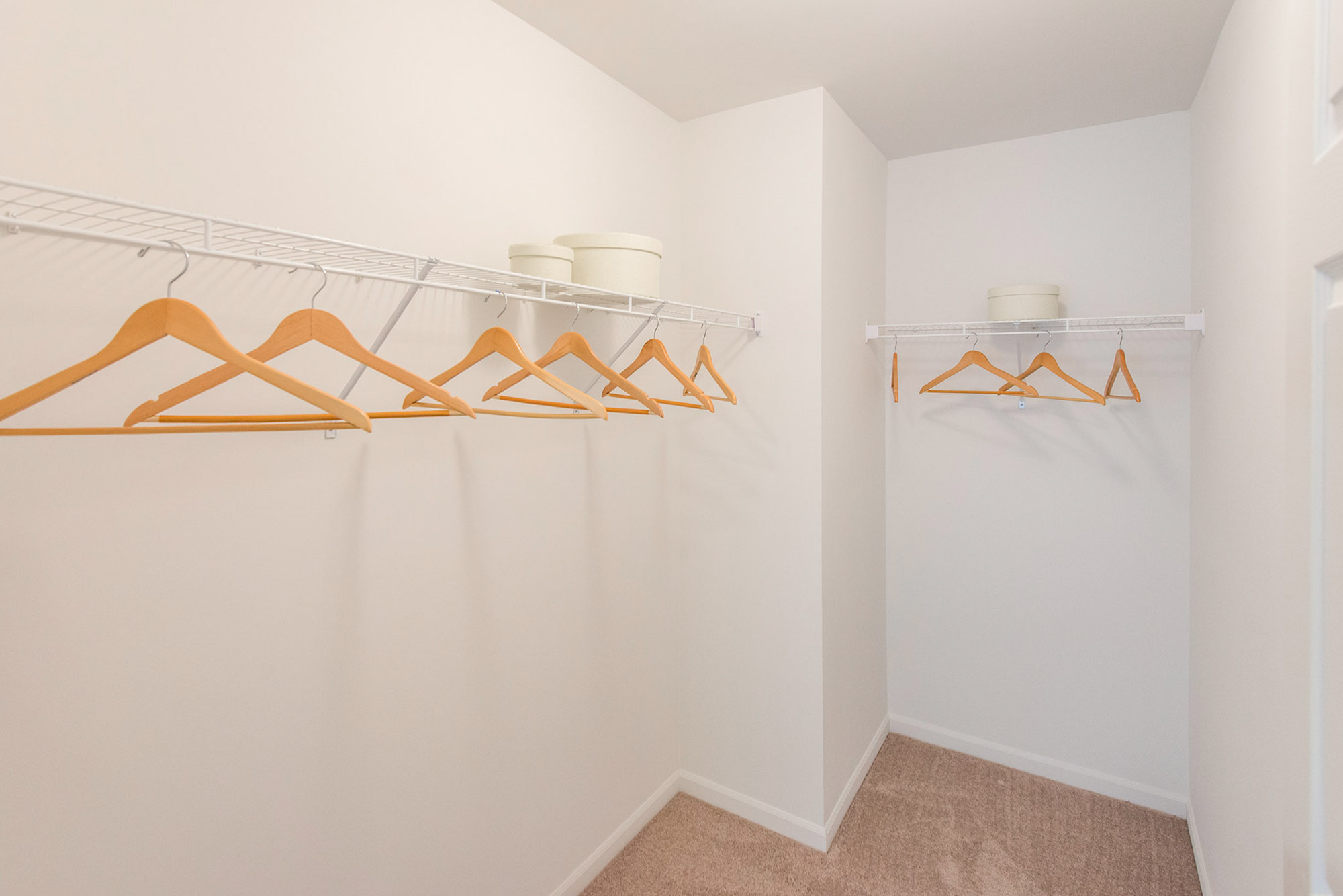 Fountain - 3 Bed 2 Bath - Primary Bedroom Walk-in Closet