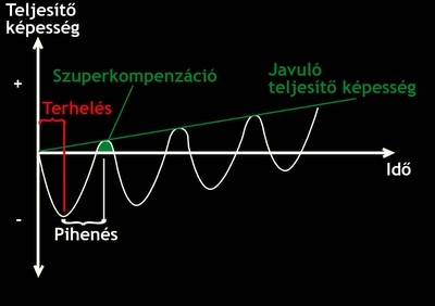 szuperkompenzáció