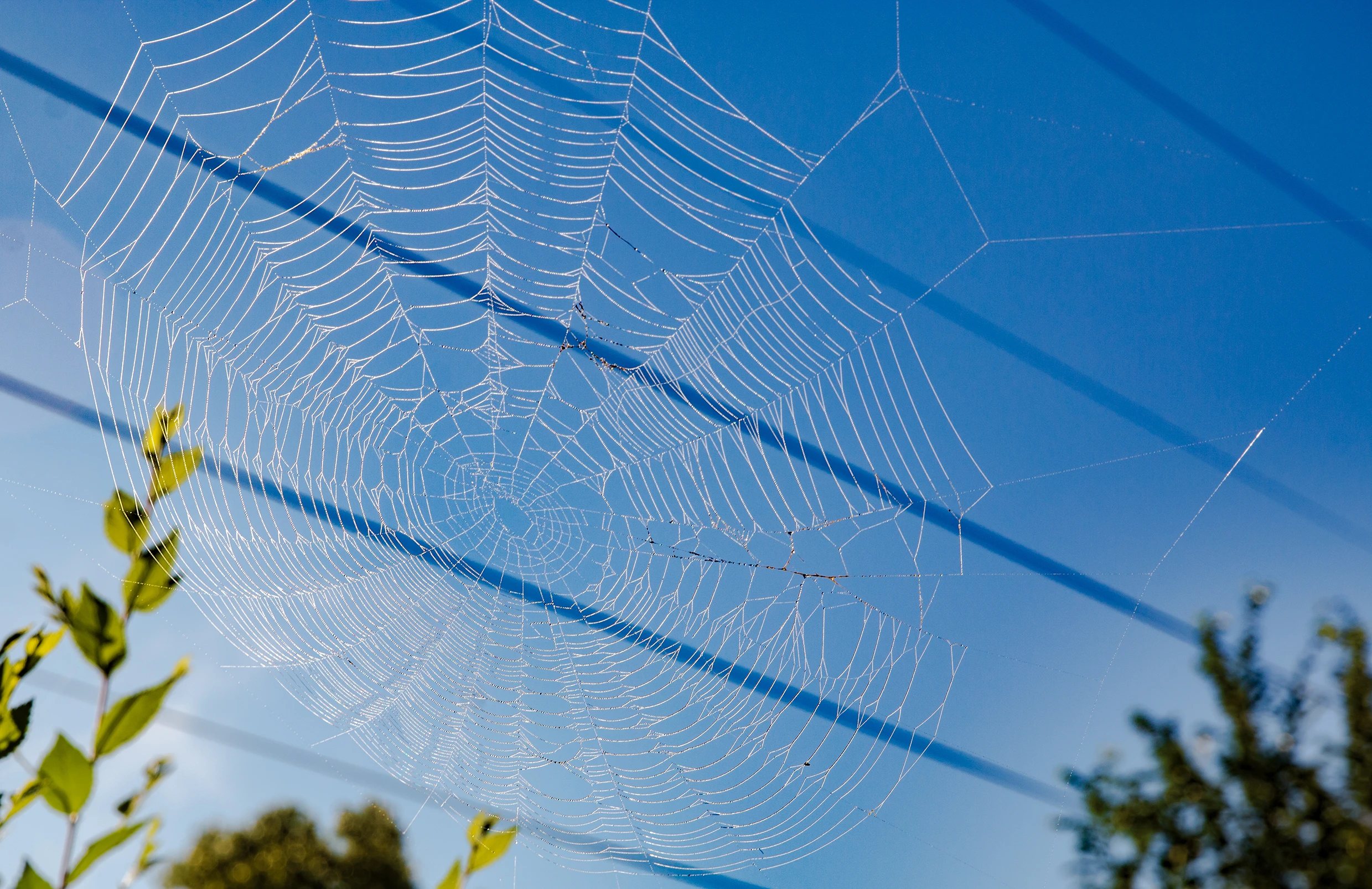 a blue sky with a big spider web