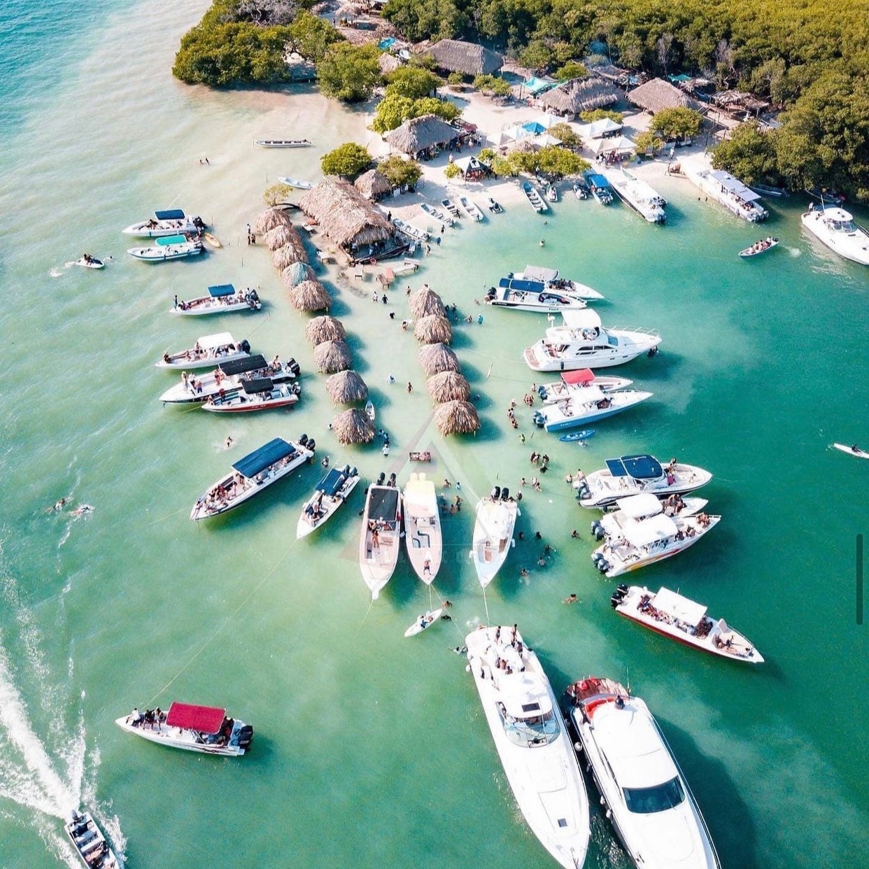 isla chalon