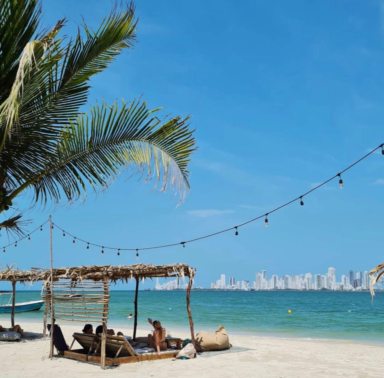 fenix beach club