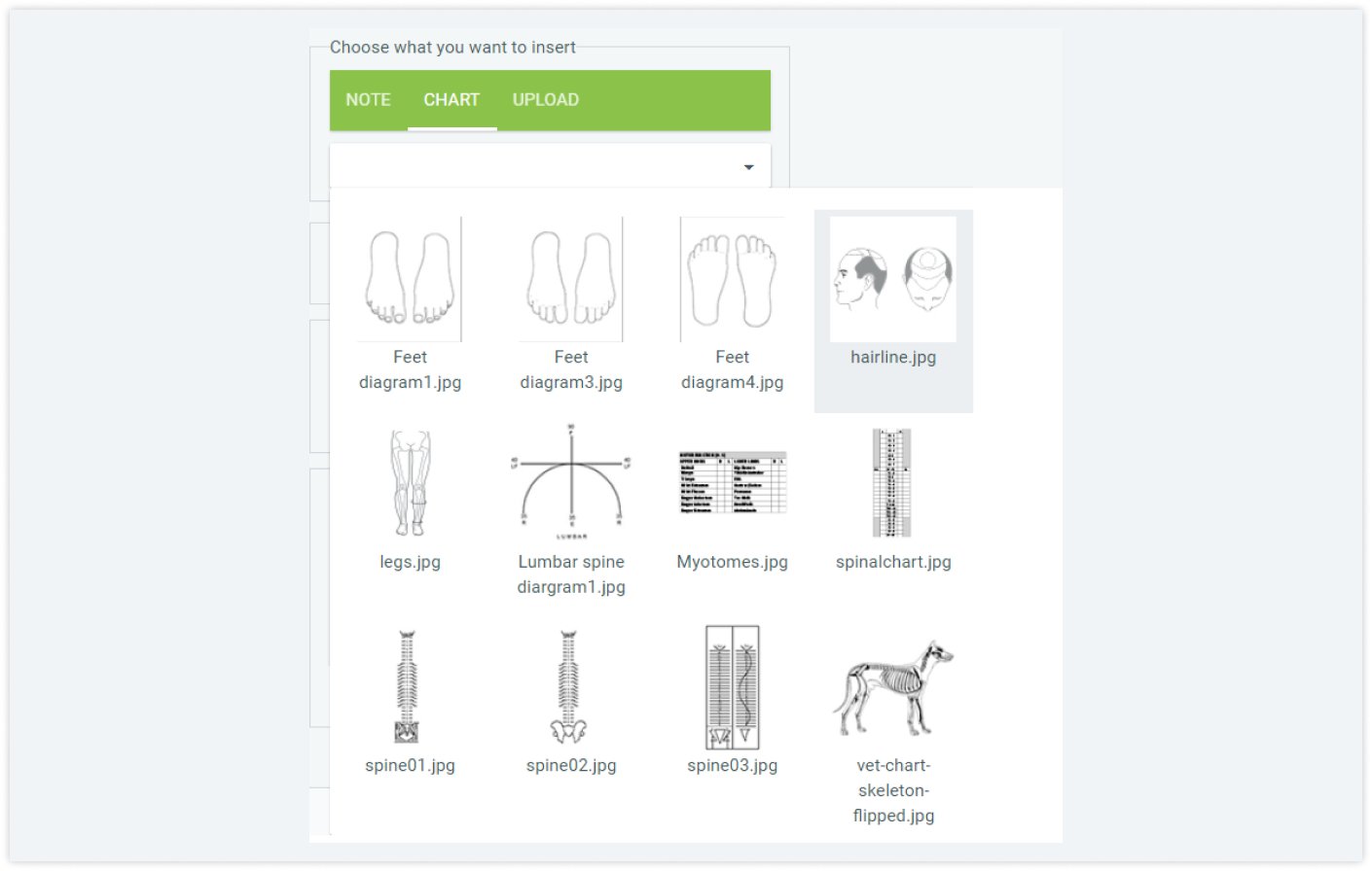 practicepal-bodychart