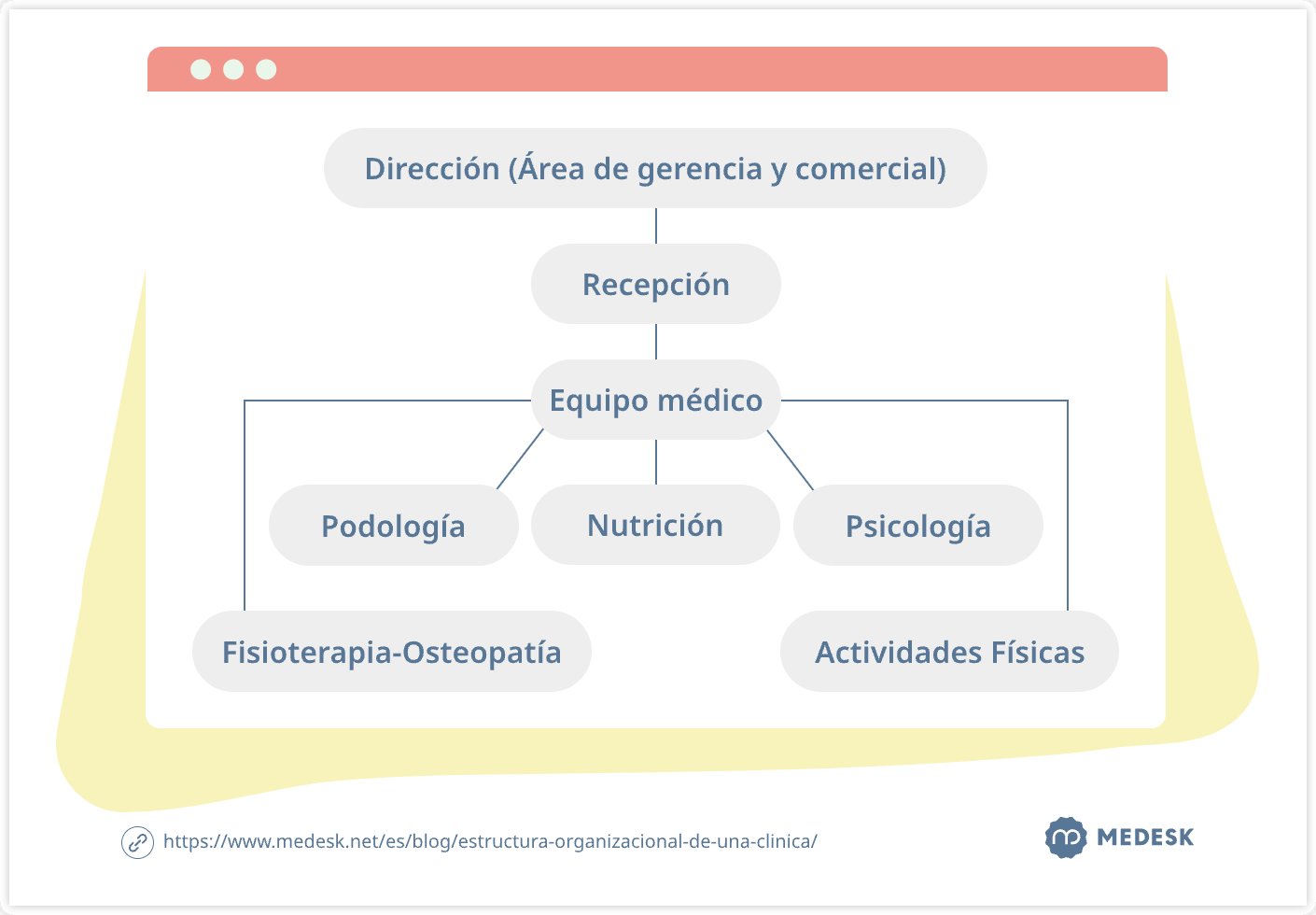 organigrama-de-una-clinica-de-fisioterapia-svg