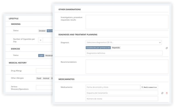 consultation-notes-en