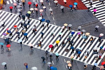 Dónde viajar en 2020; los usuarios de N26 opinan.