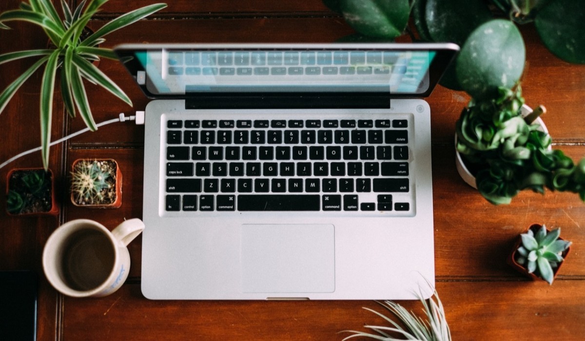 Ordenador con plantas.