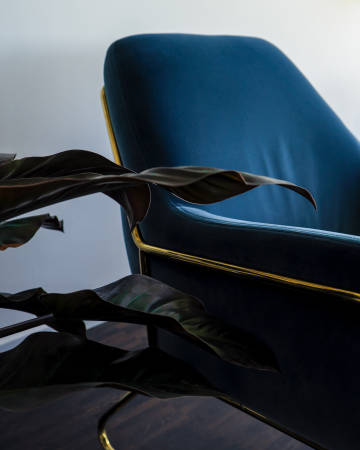 Pflanzenblätter neben einem dunkelblauen Stuhl.