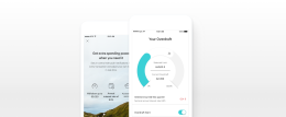 N26 Savings and Overdraft open in a smartphone.