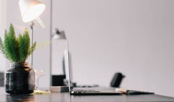 Laptop auf Schreibtisch, neben Lampe und einer Pflanze.