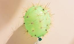 Ein grüner Luftballon mit Kakteenstacheln.