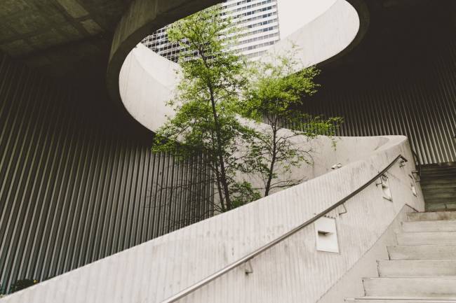 Un árbol dentro de un edificio.