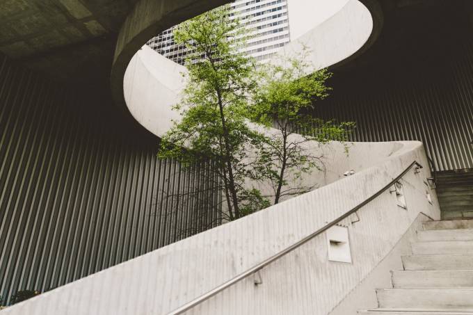 Tree growing by a staircase.