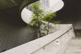 Un arbre à l'intérieur d'un bâtiment.