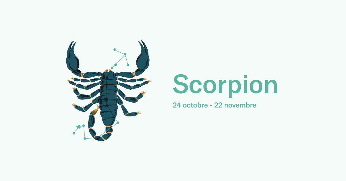 La gestion financière chez les Scorpions — N26