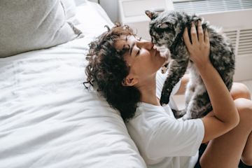 Wie viel kostet eine Katze? Die wichtigsten Ausgaben im Überblick.