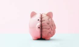 Bild von einem halben rosaen Gehirn und ein halben Sparschwein.