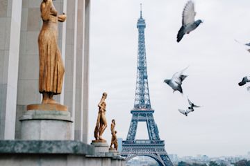 Immagine che mostra piccioni che volano vicino ad alcune statue di bronzo e con la Torre Eiffel sullo sfondo.