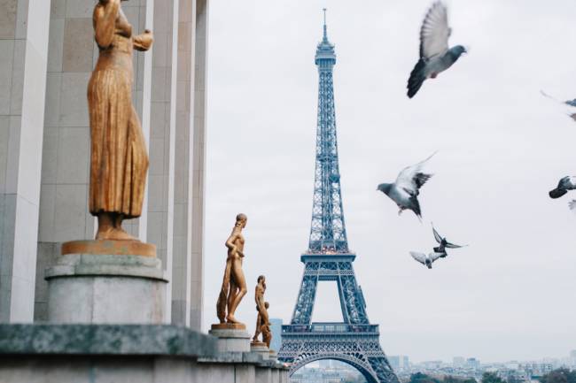 image montrant des pigeons volant près des statues de bronze et la tour eiffel en arrière-plan.
