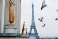 image showing pigeons flying near some bronze statues and with the eiffel tower in the background.