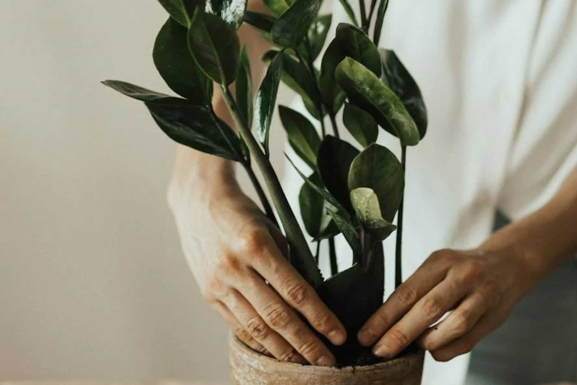 Growth vs. Value Stocks How to Tell the Difference