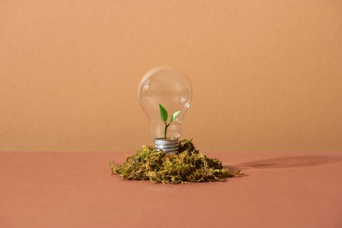 light bulb with plant leaves inside and planted on soil.