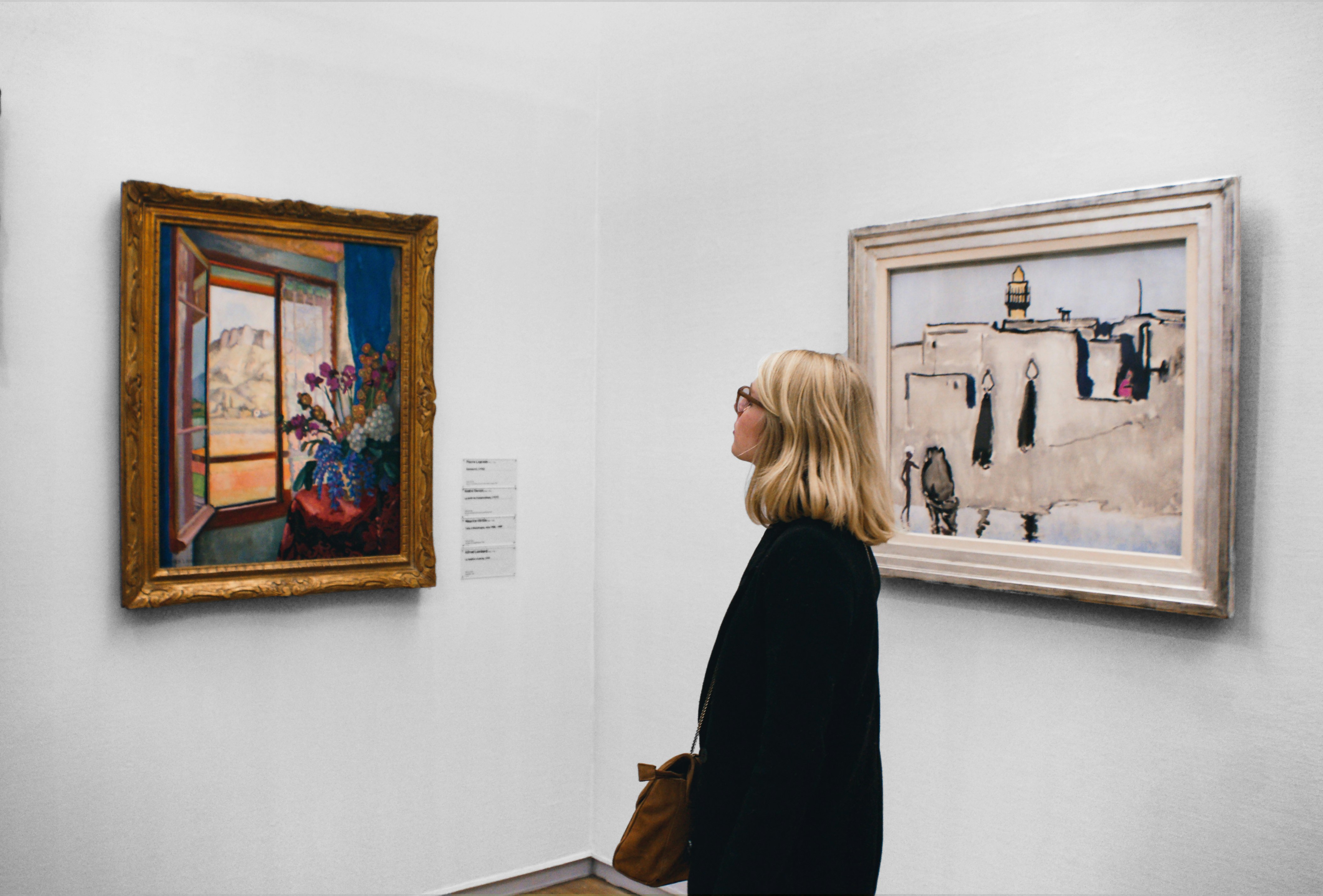 A person with a bag looks at a painting.