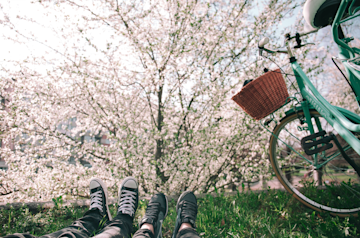 Coppia sdraiata sull'erba accanto a una bicicletta, che guarda un albero in fiore.