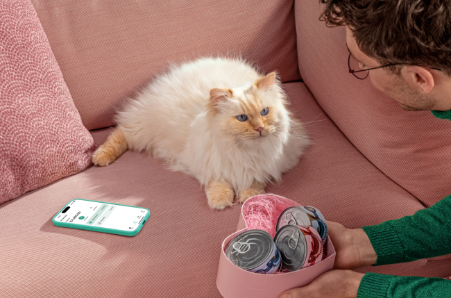 Una persona con un gato en un sofá rosa.