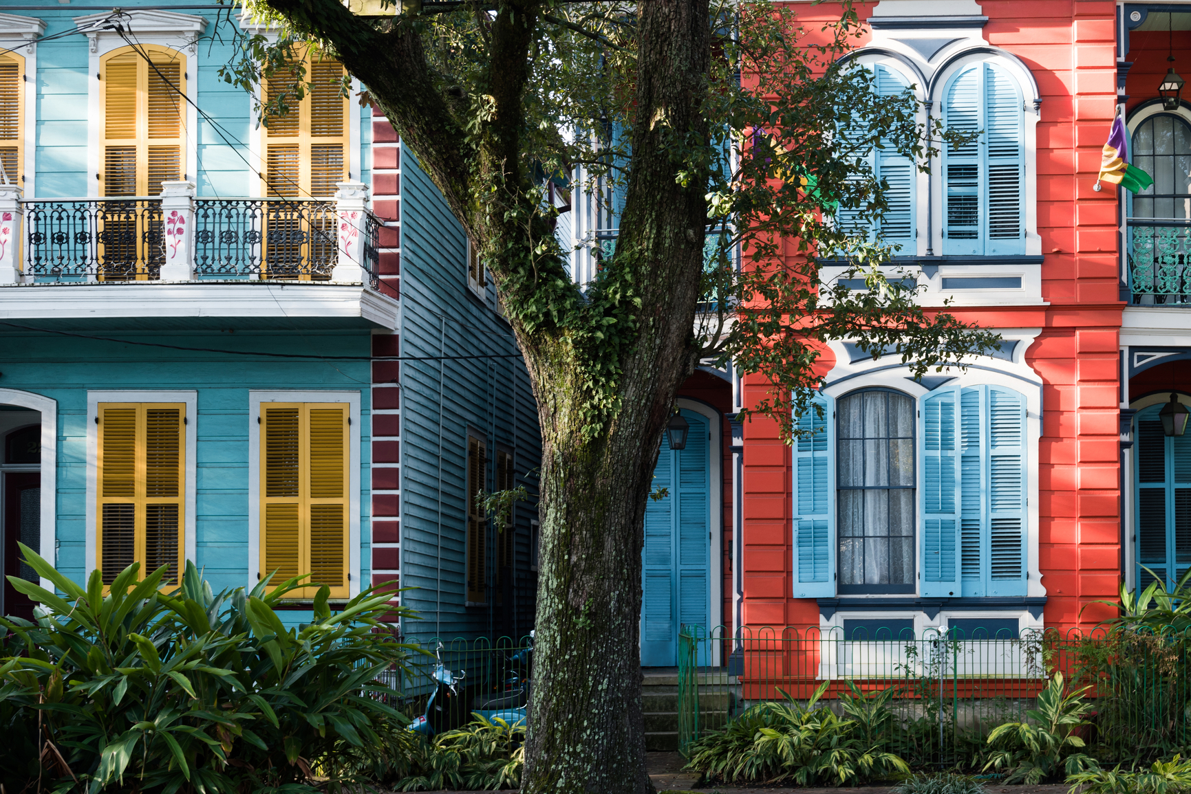 Maisons colorées et un arbre.