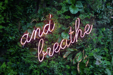 plant wall with inspirational neon message.