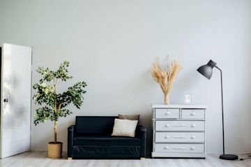 Indoor tree, sofa, cabinet and lamp in front of a wall.