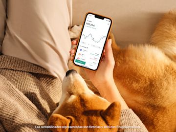 Perro mirando el rendimiento crypto en la aplicación n26.