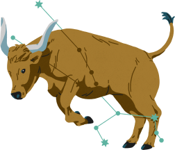 Sternzeichen Stier.