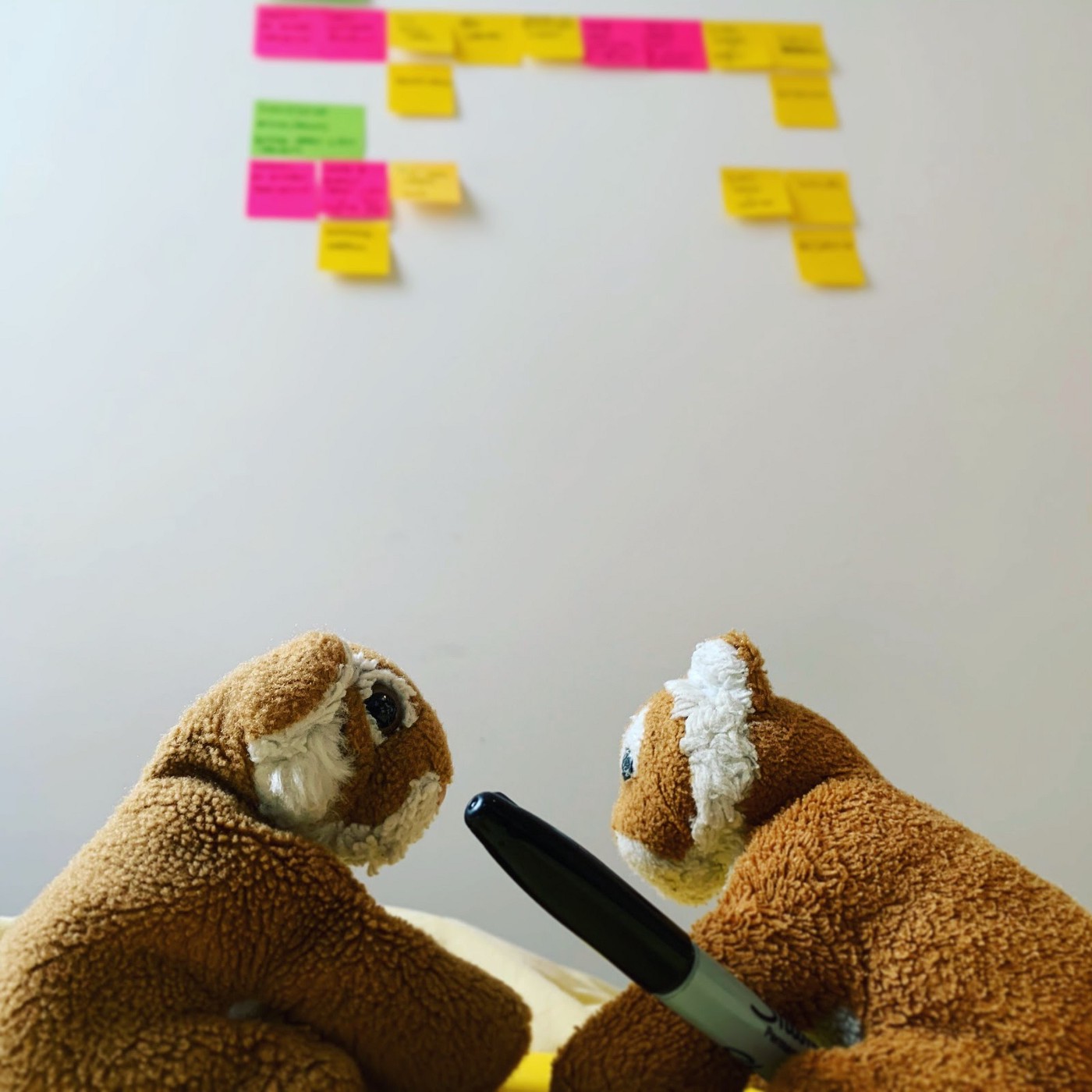 Two toys facing each other.