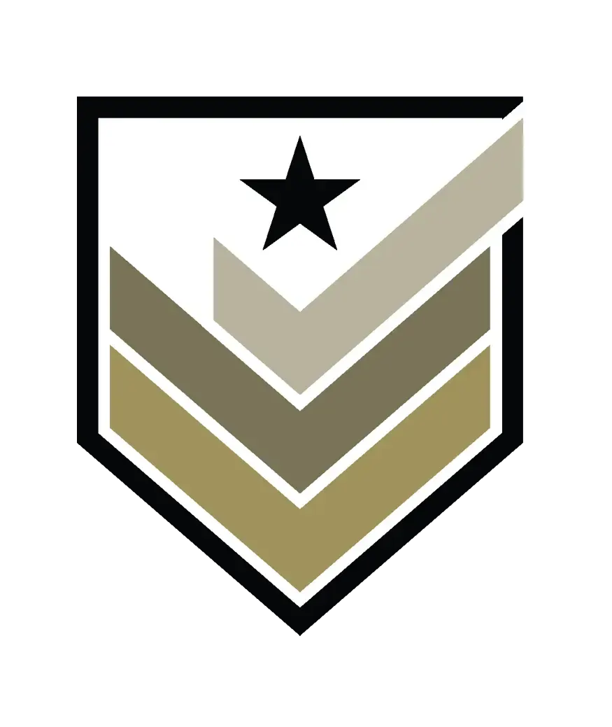 Shield-style emblem with a star above layered chevrons in gold and gray.