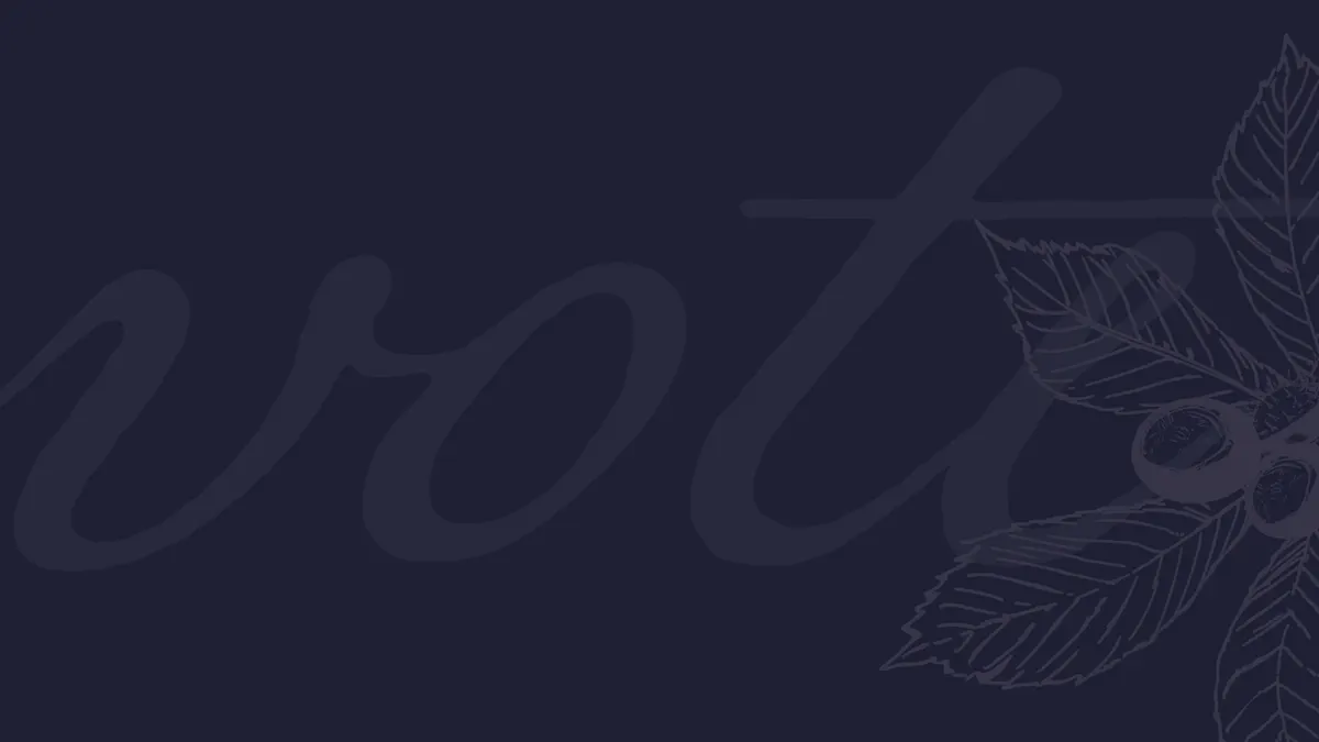 VoteOhio Early Voting Carousel Background