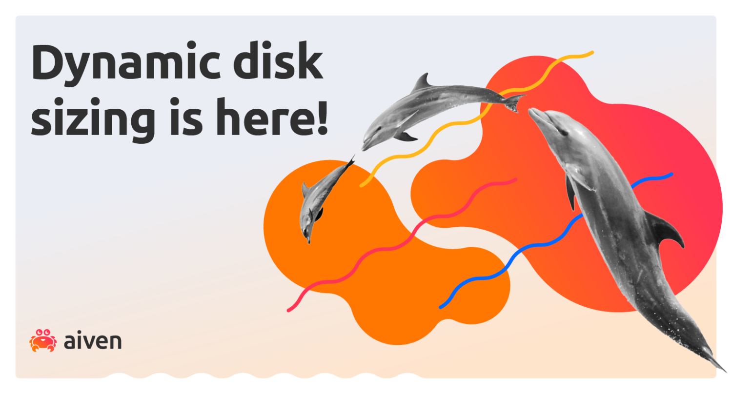 Announcing Dynamic Disk Sizing