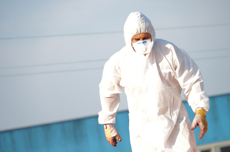 Asbestos removal professional