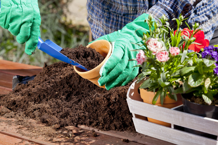 Trowel