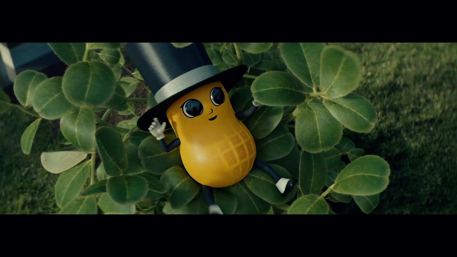 Planters "Baby Nut"