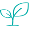 plant icon 60x60