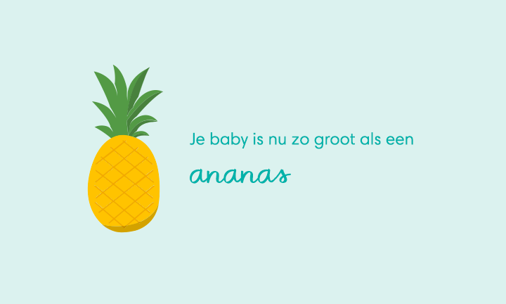 baby size of pineapple week 33