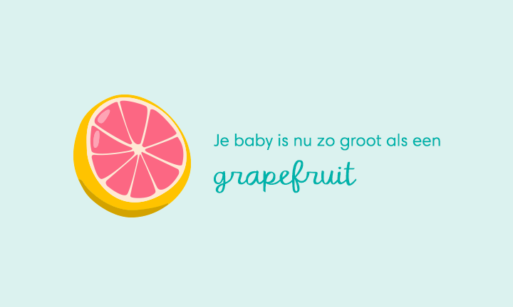 baby size of grapefruit week 15