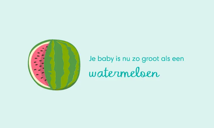 baby size of watermelon week 39