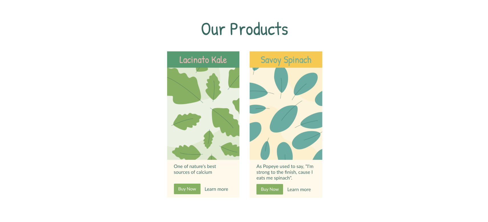 Shopify Store Frontend Development