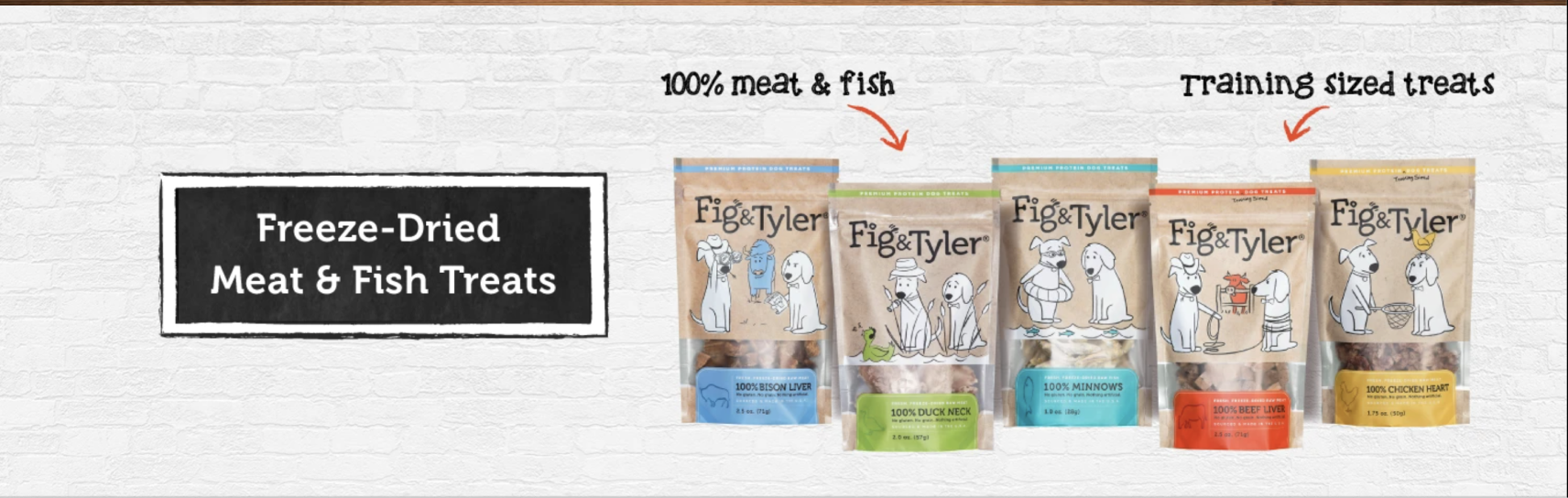shopify pet store themes dog accessories