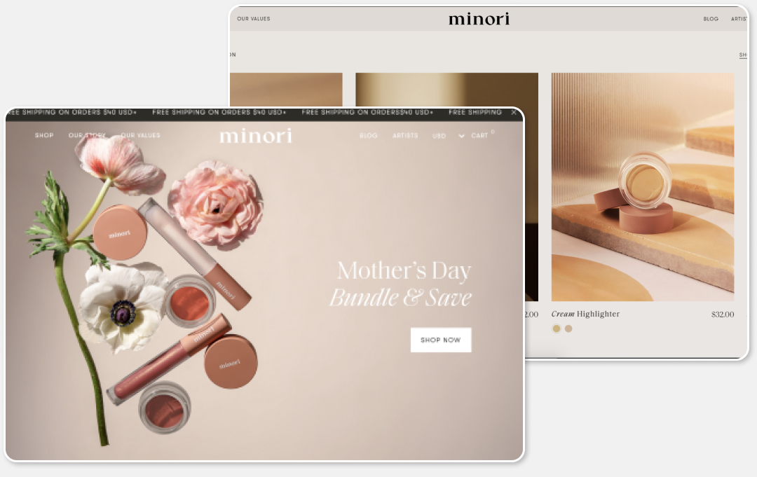 Shopify web development