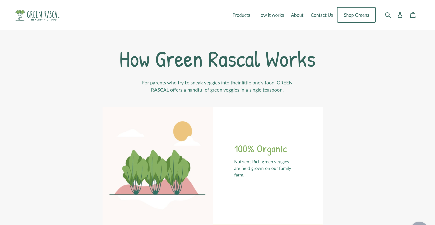 Shopify Store Frontend Development
