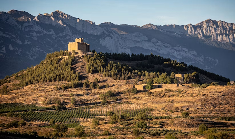 Castillo de Davalillo and vineyards located within the renowned La Rioja wine region of northern Spain.