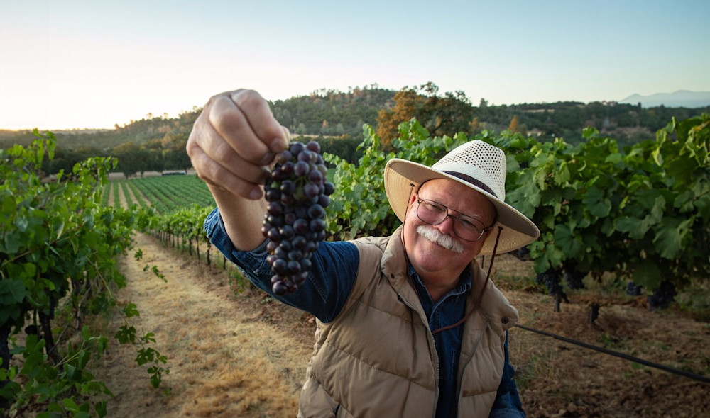 F. Stephen Millier in the Vineyard.